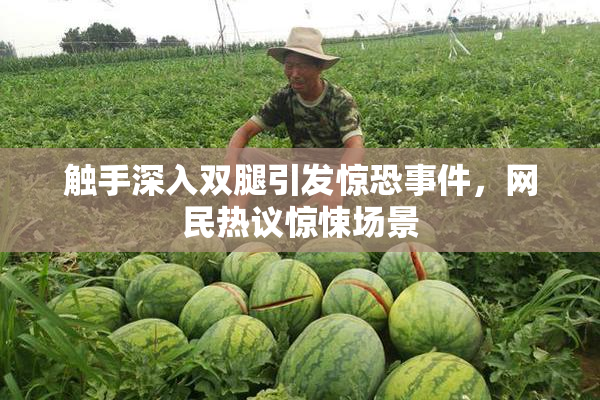 触手深入双腿引发惊恐事件，网民热议惊悚场景