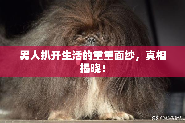 男人扒开生活的重重面纱，真相揭晓！