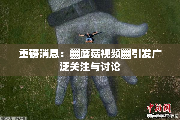 重磅消息：▓蘑菇视频▓引发广泛关注与讨论