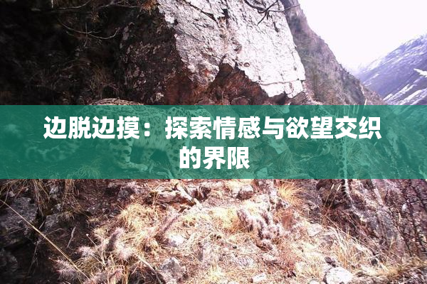 边脱边摸：探索情感与欲望交织的界限