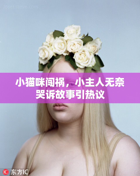 小猫咪闯祸，小主人无奈哭诉故事引热议