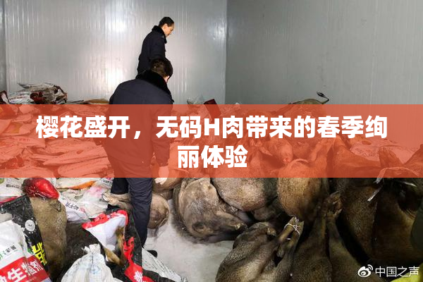 樱花盛开，无码H肉带来的春季绚丽体验