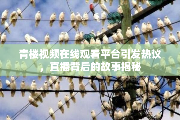 青楼视频在线观看平台引发热议，直播背后的故事揭秘