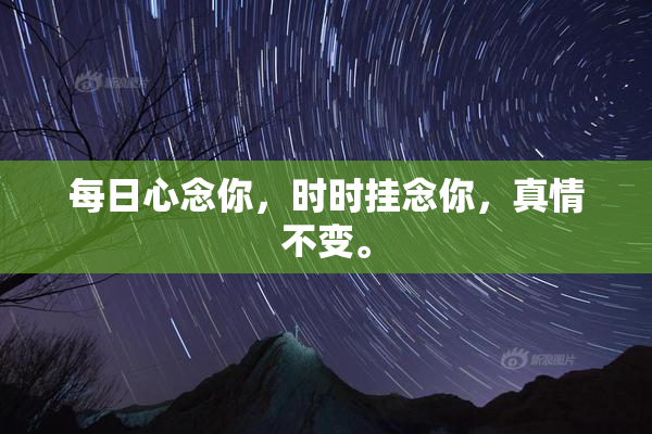 每日心念你，时时挂念你，真情不变。