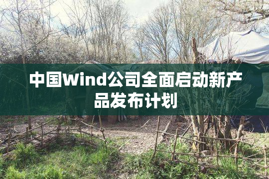 中国Wind公司全面启动新产品发布计划