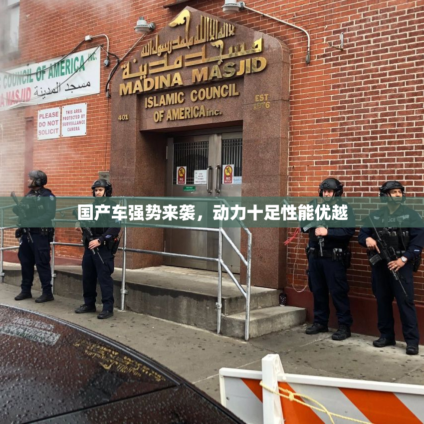 国产车强势来袭，动力十足性能优越