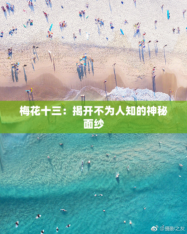 梅花十三：揭开不为人知的神秘面纱