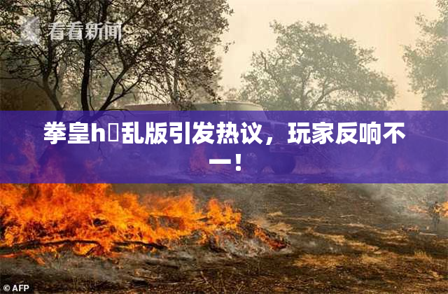 拳皇h婬乱版引发热议，玩家反响不一！