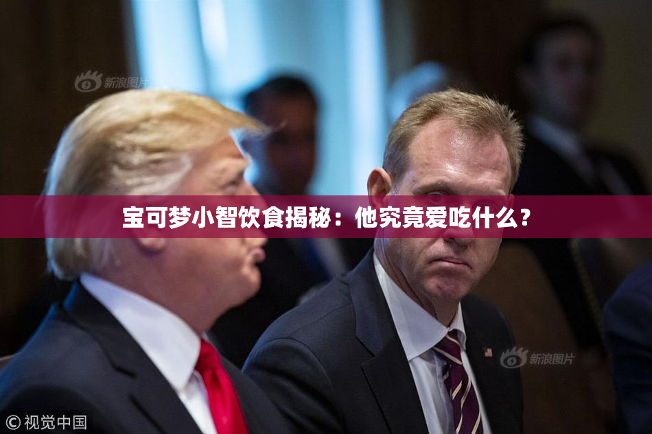 宝可梦小智饮食揭秘：他究竟爱吃什么？