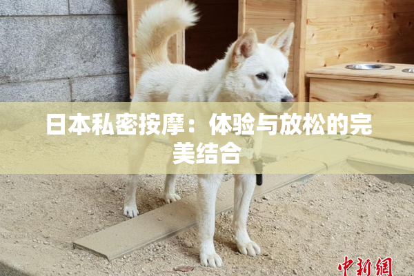 日本私密按摩：体验与放松的完美结合