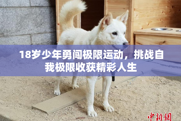 18岁少年勇闯极限运动，挑战自我极限收获精彩人生