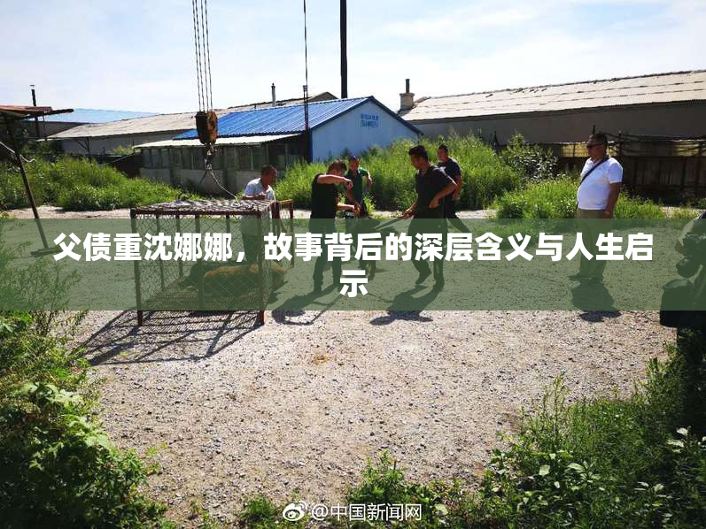 父债重沈娜娜，故事背后的深层含义与人生启示