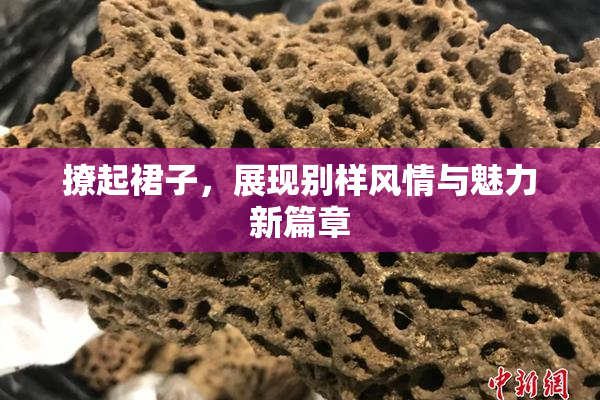 撩起裙子，展现别样风情与魅力新篇章