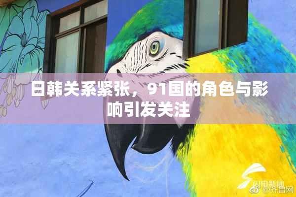 日韩关系紧张，91国的角色与影响引发关注