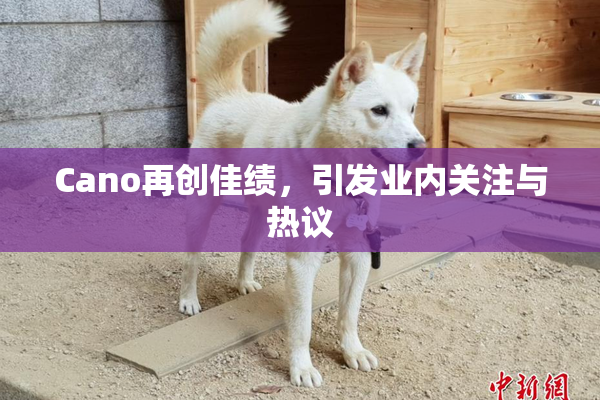 Cano再创佳绩，引发业内关注与热议