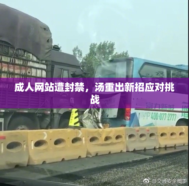 成人网站遭封禁，汤重出新招应对挑战