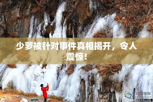 少萝被针对事件真相揭开，令人震惊！