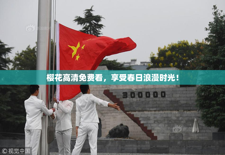 樱花高清免费看，享受春日浪漫时光！