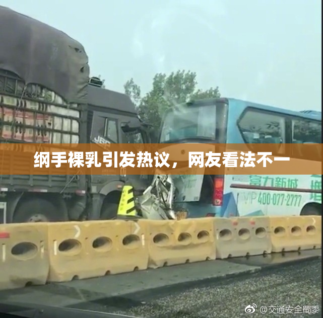 纲手裸乳引发热议，网友看法不一