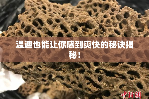温迪也能让你感到爽快的秘诀揭秘！