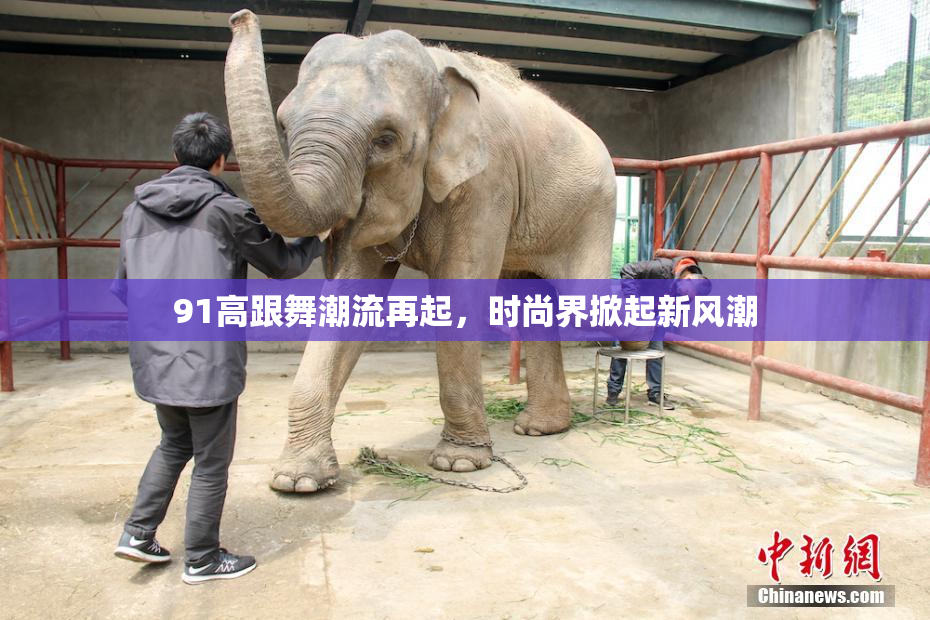 91高跟舞潮流再起，时尚界掀起新风潮