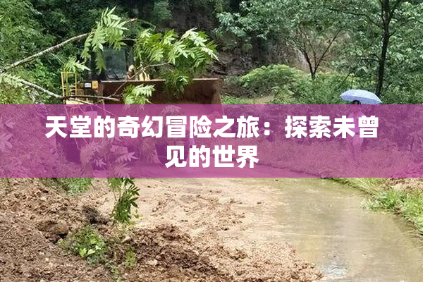 天堂的奇幻冒险之旅：探索未曾见的世界