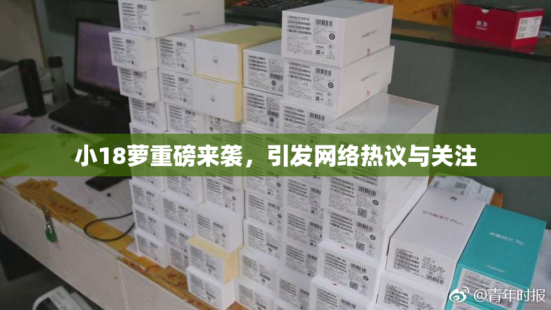 小18萝重磅来袭，引发网络热议与关注