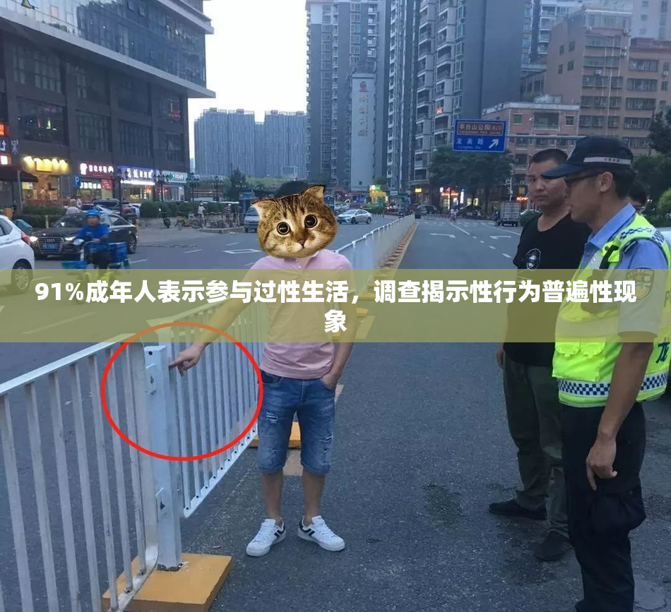 91%成年人表示参与过性生活，调查揭示性行为普遍性现象