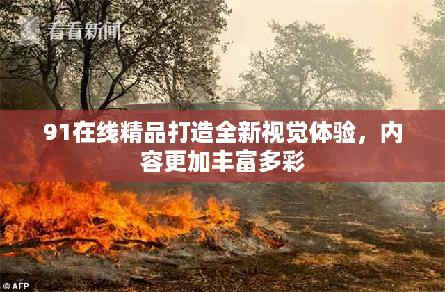 91在线精品打造全新视觉体验，内容更加丰富多彩