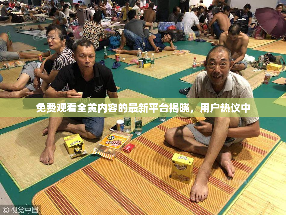 免费观看全黄内容的最新平台揭晓，用户热议中