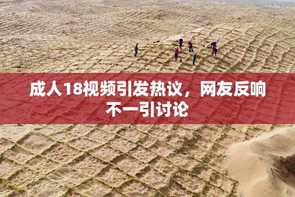 成人18视频引发热议，网友反响不一引讨论