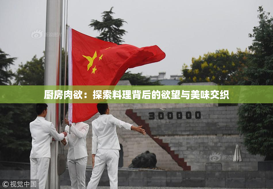 厨房肉欲：探索料理背后的欲望与美味交织