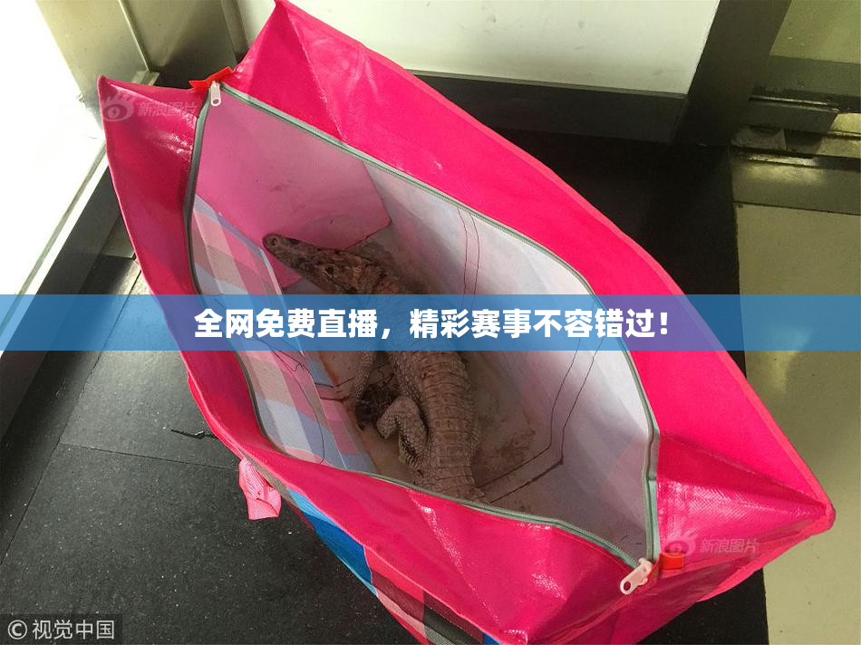 全网免费直播，精彩赛事不容错过！