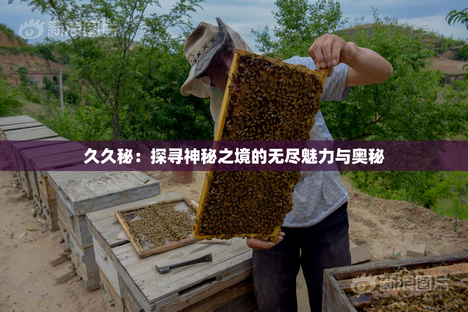 久久秘：探寻神秘之境的无尽魅力与奥秘