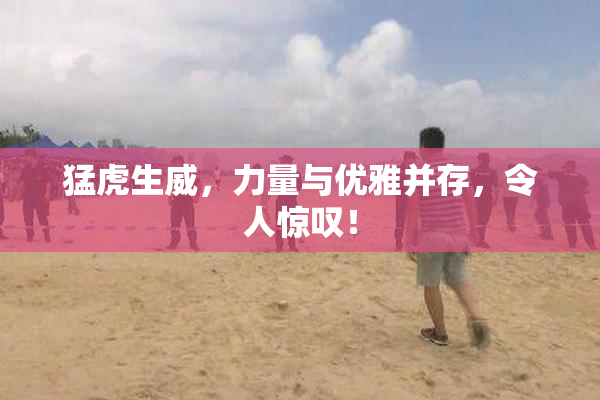 猛虎生威，力量与优雅并存，令人惊叹！