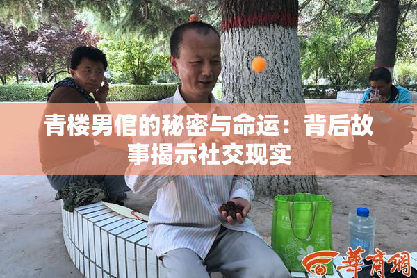 青楼男倌的秘密与命运：背后故事揭示社交现实
