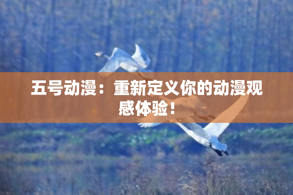 五号动漫：重新定义你的动漫观感体验！