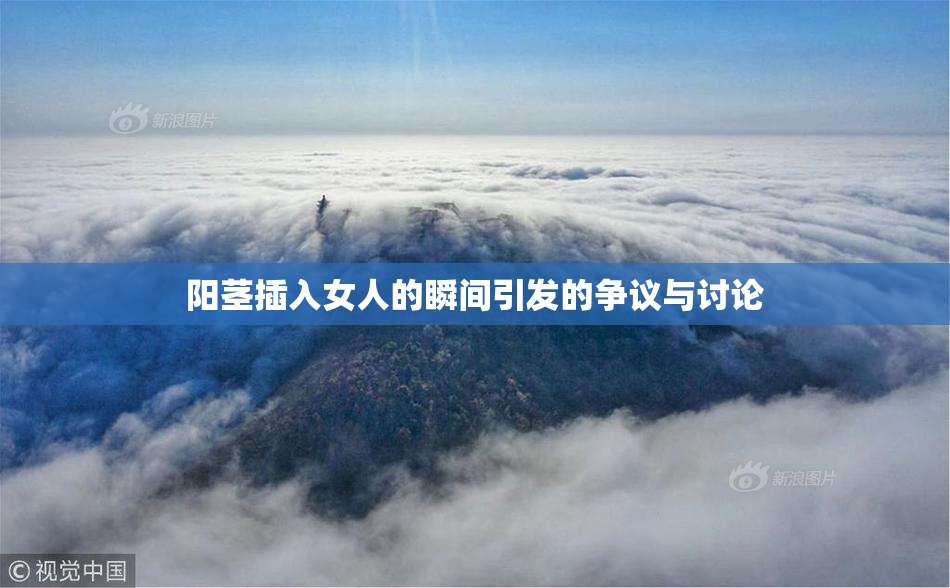 阳茎插入女人的瞬间引发的争议与讨论