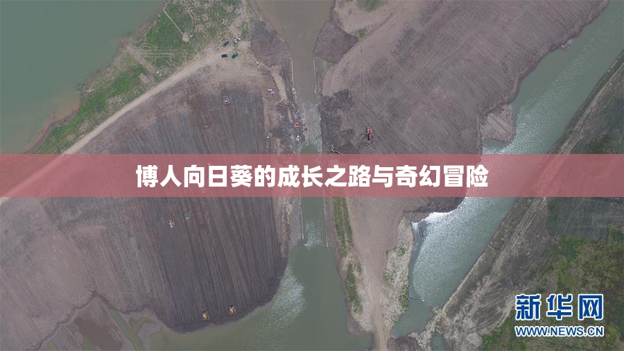 博人向日葵的成长之路与奇幻冒险