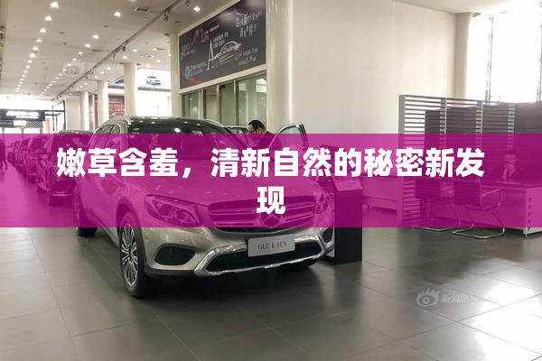 嫩草含羞，清新自然的秘密新发现