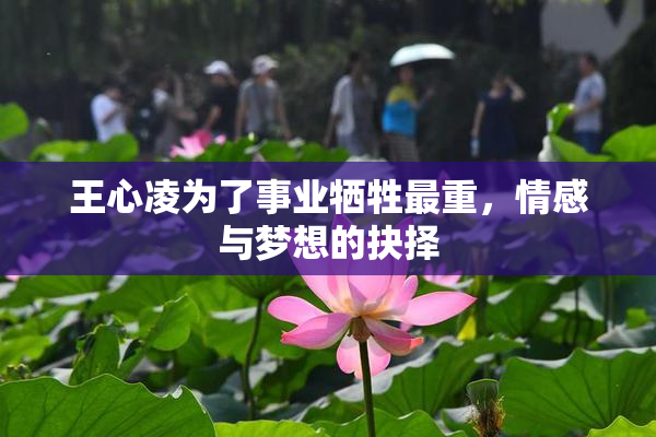 王心凌为了事业牺牲最重，情感与梦想的抉择