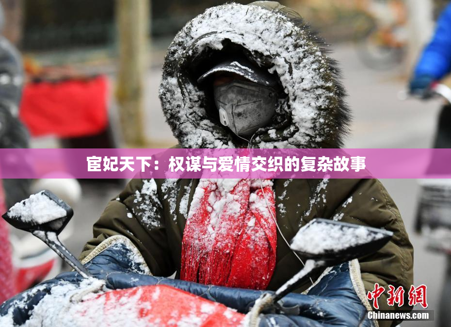 宦妃天下：权谋与爱情交织的复杂故事