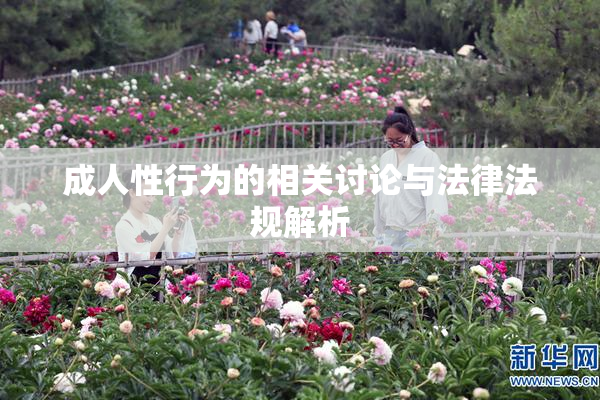 成人性行为的相关讨论与法律法规解析