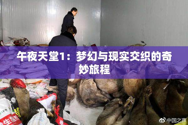 午夜天堂1：梦幻与现实交织的奇妙旅程