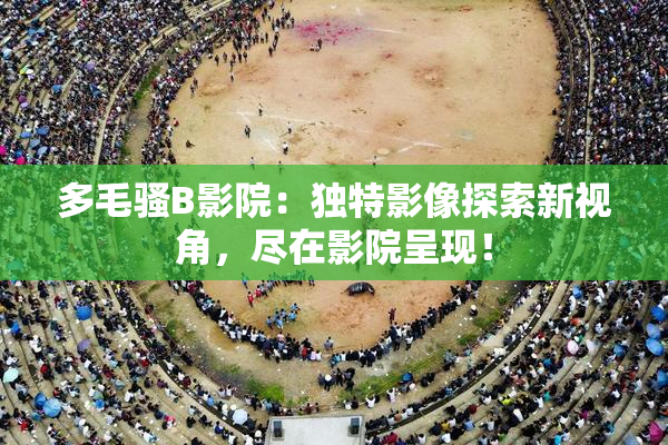 多毛骚B影院：独特影像探索新视角，尽在影院呈现！