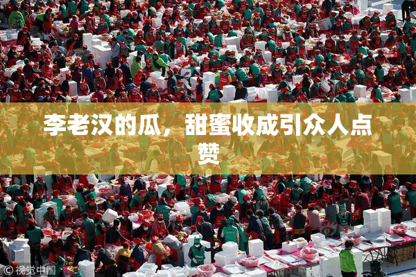 李老汉的瓜，甜蜜收成引众人点赞