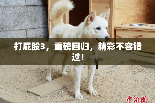 打屁股3，重磅回归，精彩不容错过！