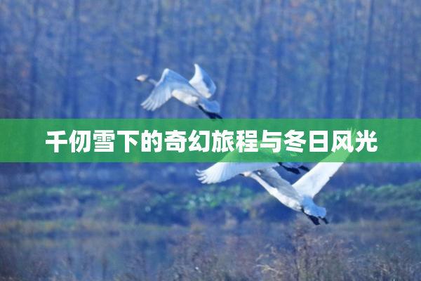 千仞雪下的奇幻旅程与冬日风光