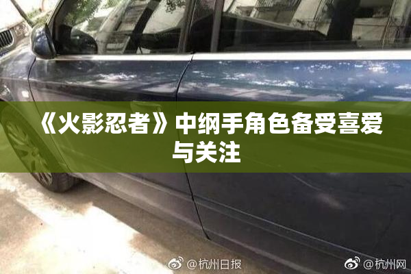 《火影忍者》中纲手角色备受喜爱与关注