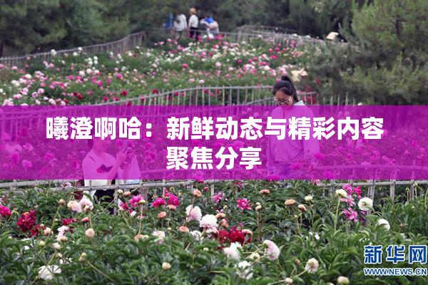 曦澄啊哈：新鲜动态与精彩内容聚焦分享